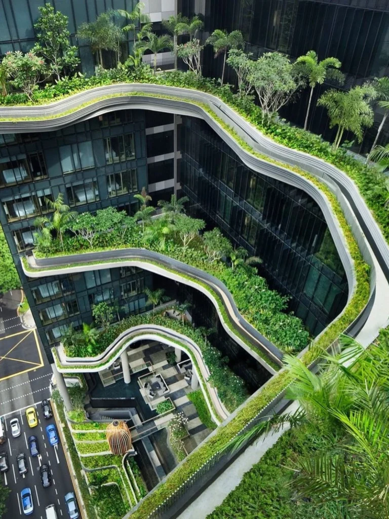 Telhados Verdes: Revolucionando Espaços Urbanos