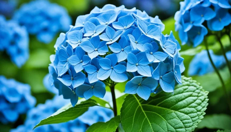 O Segredo da Hortência Azul