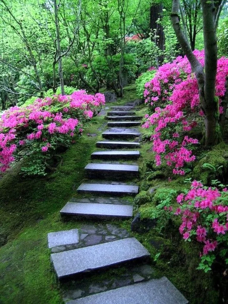 Plantas Ornamentais