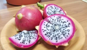 Como Fazer Sua Pitaya Produzir Mais Frutos no Jardim