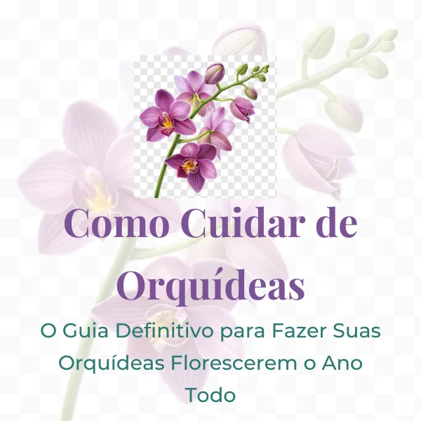 Como Cuidar de Orquideas O Guia Definitivo para Fazer Suas Orquideas Florescerem o Ano Todo
